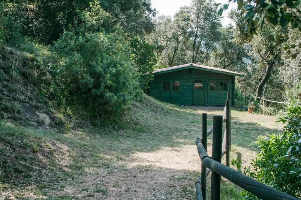 Masia Can Jou Sant Jaume de Llierca Kültér fotó